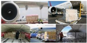 imagen de whatsapp 2025 12 05 a las 13.19.29 c2dd3fc9